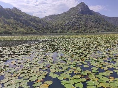 Czarnogóra, zdjęcie 2