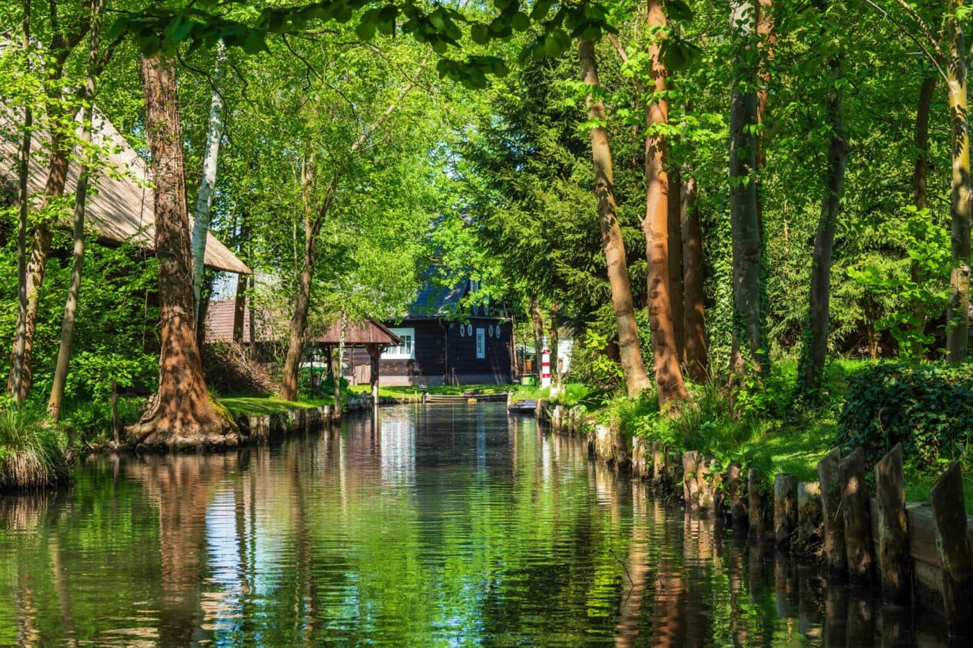 SPREEWALD - niemiecka Wenecja, zdjęcie 4