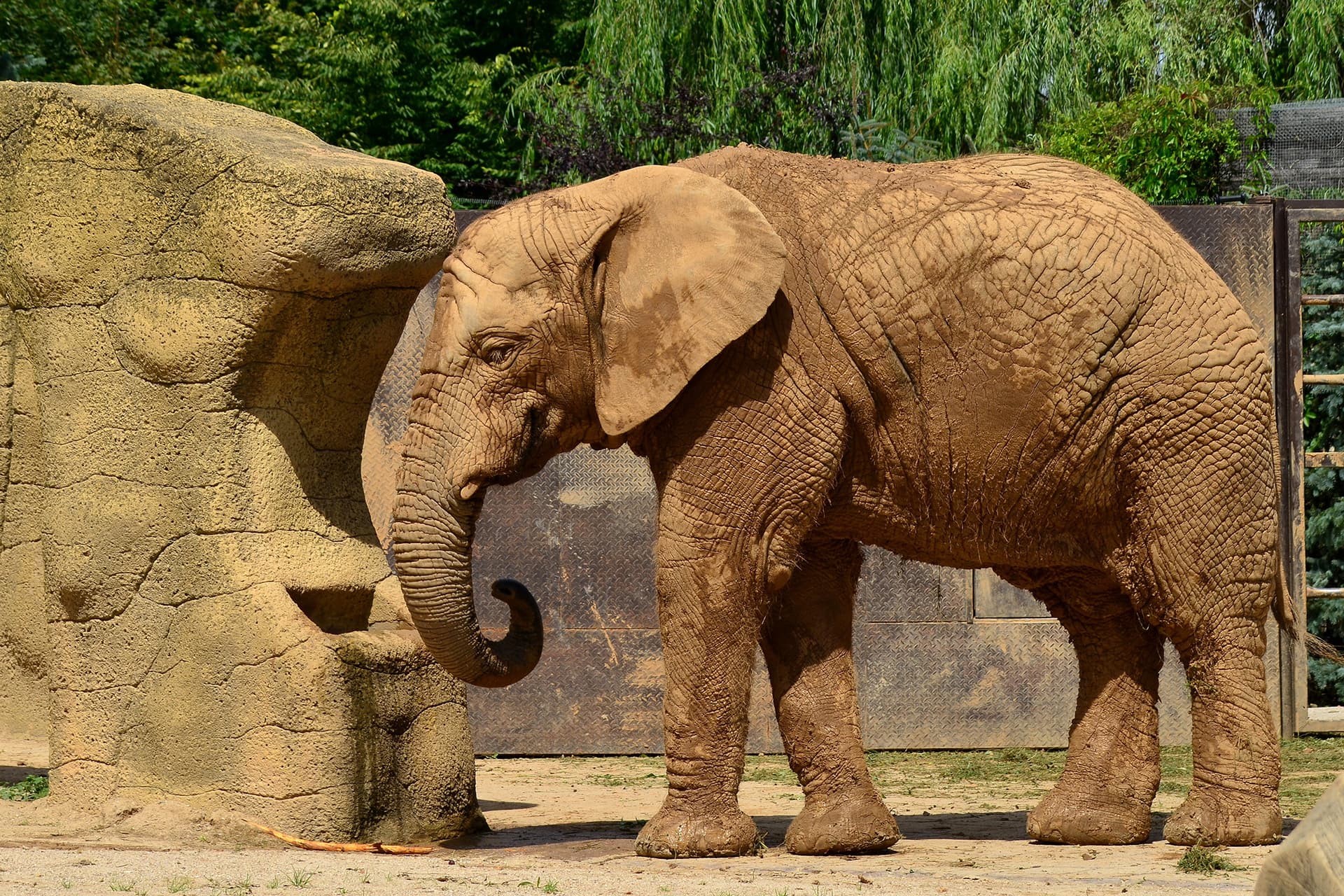 ZOO Safari - Dvur Kralove