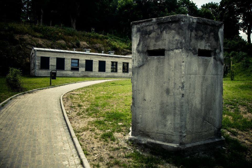 Ścieżka w koronach drzew, Projekt ARADO, zdjęcie 4